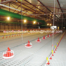 Complete Set Automatic Poultry Farm Equipment for Broiler Production